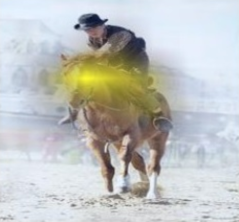 预测结果正确,依据的关键特征不合理的例子