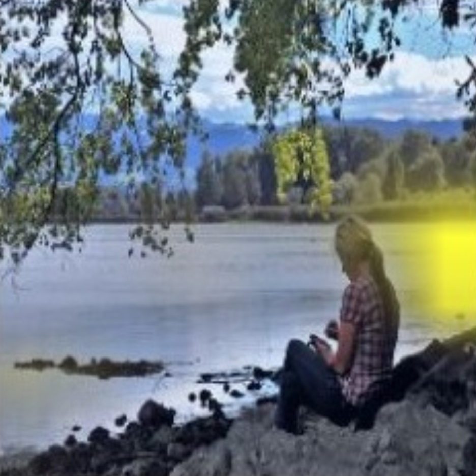 预测结果错误,依据的关键特征不合理的例子